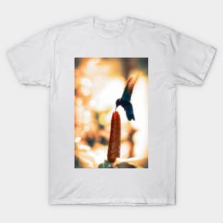 Caribbean Hummingbird T-Shirt